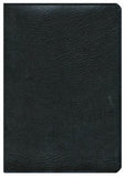 Biblia de Estudio Arco Iris RVR 1960, Verde Profundo con Indice