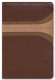 Biblia de Estudio Arco Iris RVR 1960, Canela/Damasco, Símil Piel con Indice