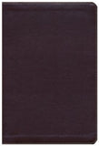Biblia de Estudio Arco Iris RVR 1960, Chocolate Símil Piel con Indice