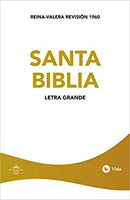 Biblia Reina Valera 1960, Edición Económica, Letra grande, Tapa Rústica