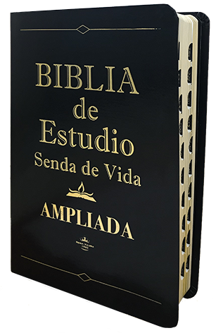 Biblia Estudio Amp. Piel Negra C/Indice