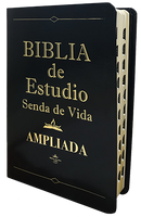 Biblia Estudio Amp. Piel Negra C/Indice